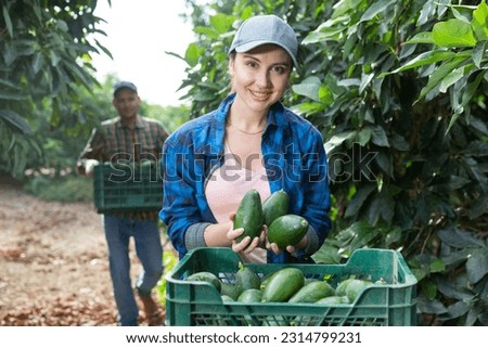 Happy skilled young female gardener in plaid shirt holding green organic avocado fruits on farm in autumn