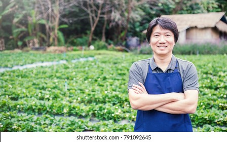 Happy Small Business Sme Owner Asian Man Working And Gardening His Farm, Nursery Worker Planting In The Orchard, Small Business Owner Banner Concept