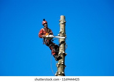 Happy Smiling Arborist With A Chainsaw Working At Height