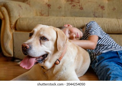 3,820 Boy sleeping on floor Images, Stock Photos & Vectors | Shutterstock