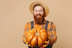 Happy Smiling Cheerful Young Bearded Man Wear Straw Hat Overalls Work In Garden Hold In Hand Give Pumpkin Isolated On Plain Pastel Light Beige Color Background Studio Portrait. Plant Caring Concept