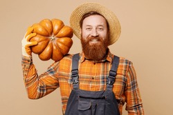 Happy Smiling Cheerful Young Bearded Man Wears Straw Hat Overalls Work In Garden Hold Pumpkin On Shoulder Isolated On Plain Pastel Light Beige Color Background Studio Portrait. Plant Caring Concept
