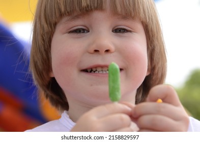 Happy Smiling Child 3 Years Old, Blond. A Cute Boy Laughs On The Playground And Holds A Green Lolipop In His Hand. Concept: Good Mood, Family Vacation