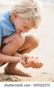 Happy, Smiling Child Collecting Sea Shells At Beach. Focus On Shells.