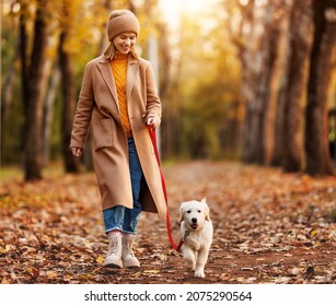 Happy Smiling European Woman Walking With Cute Golden Retriever Puppy On Leash In Autumn Park, Female Pet Owner Enjoying Walk With Her New Best Friend Dog In Nature On Fall Day