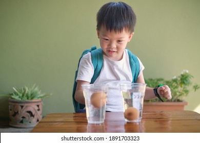 Happy Smiling Excited Little Asian School Kid Studying Science, Doing Fun And Easy Floating Egg Science Experiment To Learn About The Density Of Salt Water Effect To Floating And Sinking Of The Eggs