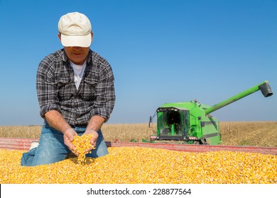 Happy Smiling Farmer During Corn Maize Harvest