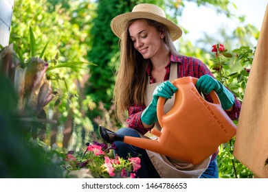 Happy smiling gardener in hat and apron using watering can for watering flowers in home garden. Gardening and floriculture - Shutterstock ID 1464786653