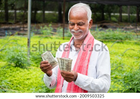 Happy Smiling Indian farmer counting Currency notes inside the greenhouse or polyhouse - concept of profit or made made money from greenhouse farming cultivation.