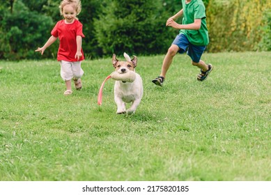 Happy Smiling Kids Playing Tag With Domestic Small Dog Outdoors