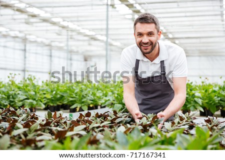 Happy smiling male gardener working in a greenhouse