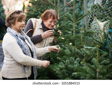 Happy smiling mature women selecting spruce at Christmas market
