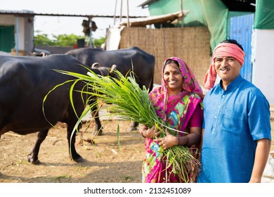 Happy Smiling Milk Dairy Farming Village Couples With Holding Grass By Looking At Camera - Concept Of Happy Family, Village Lifestyle And Togetherness.