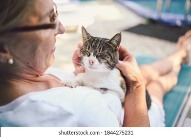 Happy smiling senior elderly woman in glasses relaxing in summer garden outdoors hugging domestic tabby cat. Retired old people and animals pets concept