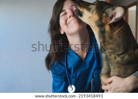 Happy stray dog licking vet woman doctor face inside private hospital - Focus on veterinarian