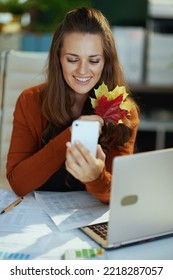 Happy Stylish 40 Years Old Small Business Owner Woman With Laptop, Autumn Yellow Leaves And Smartphone Using Video Chat In The Modern Green Office.