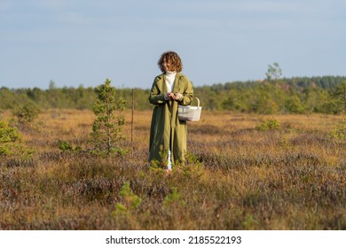 Happy stylish lady wearing green trench coat looks for cranberries among swamp grass. Young woman enjoys walking with smiling expression in autumn countryside on weekend. Season and leisure concept