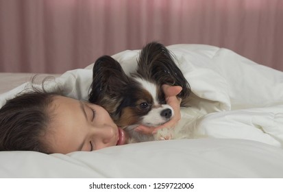 Happy teen girl kisses and plays with dog Papillon in the bed