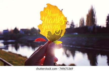 Happy Thanksgiving Day Autumn Background With Lettering