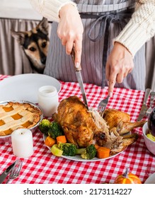 Happy Thanksgiving Day. Autumn Feast. Woman Celebrating Holiday Cooking Traditional Dinner At Kitchen With Turkey, Vegetables And Pumpkin Pie, Dog Looking At Table From Behind