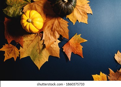 Happy Thanksgiving Day With Maple Leaves And Pumpkin On Blue Background