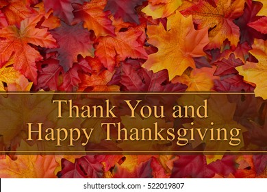 Happy Thanksgiving Greeting, Some Fall Leaves With Text Thank You And Happy Thanksgiving