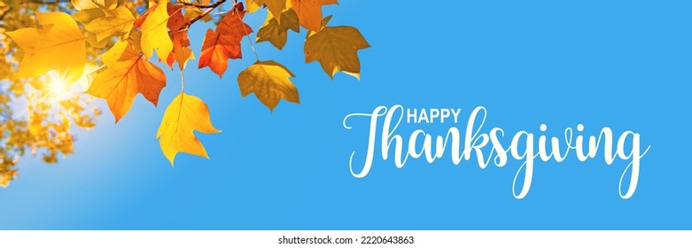 Happy Thanksgiving header, fall panoramic background, sun, yellow maple leaves and blue sky - Shutterstock ID 2220643863