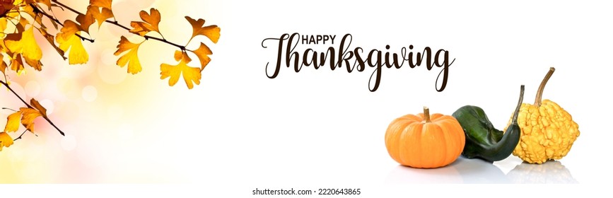 Happy Thanksgiving Header With Ginkgo Biloba Yellow Leaves And Decorative Pumpkins