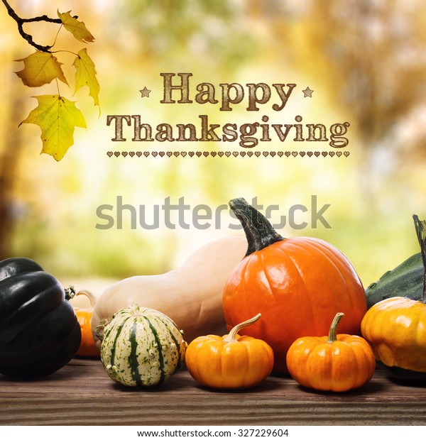 Message De Joyeux Thanksgiving Avec Citrouilles Photo De Stock Modifiable
