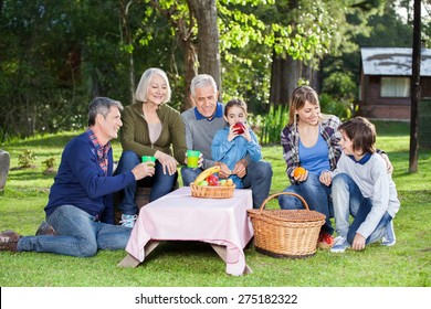 732 Grandma picnic Images, Stock Photos & Vectors | Shutterstock