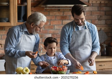 Happy three generations of Caucasian men have fun cooking healthy dinner or lunch at home together. Smiling little boy child with father and grandfather prepare food salad in kitchen. Diet concept.