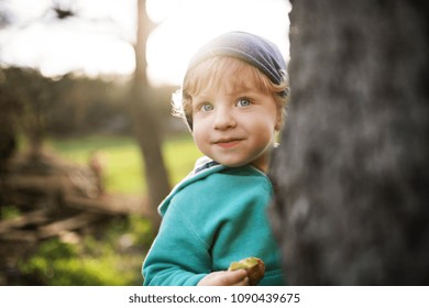 A Happy Toddler Boy Hiding Behind Tree Outside In Spring Nature.