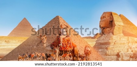 Happy Tourist man with hat riding on camel background pyramid of Egyptian Giza, sunset Cairo, Egypt.
