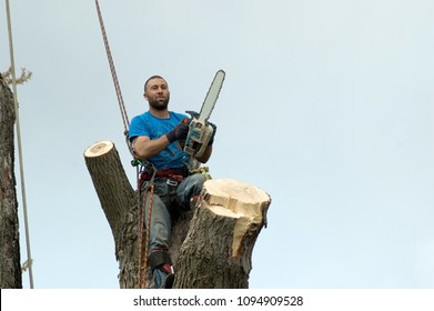 A Happy Tree Man Worker Poses In A Tree With A Chain Saw