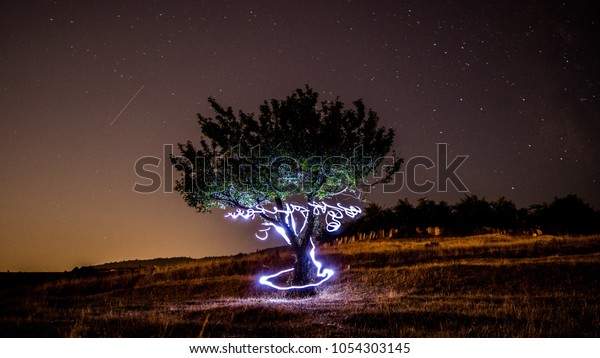 Happy\
tree on the middle of field while light painting\
