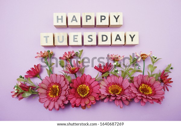 Happy Tuesday Alphabet Letters Pink Flower Stock Photo 1640687269 ...