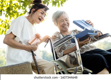 Happy Two Asian Senior Woman Opening Her Gift Box On The Elderly Day In The Garden,celebrations And Present Box For The Old People In A Nursing Home,Mother's Day Or International Day Of Older Persons 