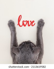 Happy Valentines Day. Cat Kitten Kitty Holding Letters Love.Flat Design. Love Card.