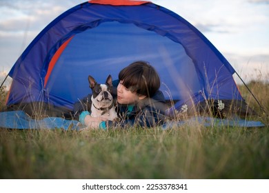 Felices y muy hermosos perros bebé, boston terrier al atardecer cerca de una tienda de campaña en las montañas, con un cielo colorido al fondo. Concepto de acampada.