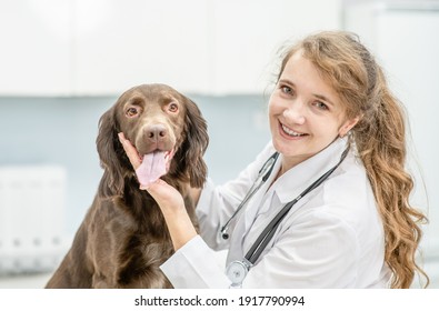 Happy Veterinarian Doctor Hugs A Dog At Vet Clinic