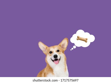 コーギー犬 イラスト の写真素材 画像 写真 Shutterstock