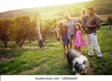 Happy wine grower family walking in vineyard