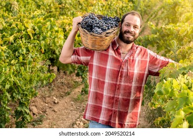 Happy Winemaker Smiling In Vineyard