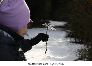 A happy woman admires a sunbeam reflected in a piece of transparent ice of a bizarre shape frozen on a branch at the end of winter.Sunny day in early spring in the forest.Russia - Powered by Shutterstock