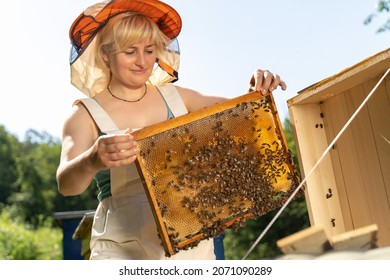 Happy Woman Beekeeper harvesting honey, work with bees in apiary. Caucasian female apiarist inspecting honeycomb frame from beehive on mountains background. Honey making, small business, hobby