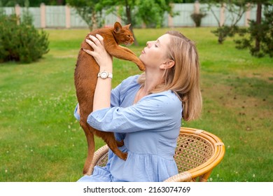 Happy Woman In Blue Dress Holding Ginger Imitation Cat Outside, Outdoors In Summer In Park Sitting In Armchair On Lawn Stroking Her Beloved Pet Holding Him In Her Arms