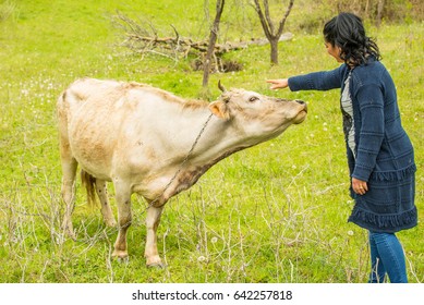 Happy Woman Cuddling A Cow On A Field