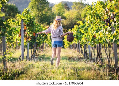 Happy woman with demijohn or carboy at vineyard. Harvest festival. Young woman dancing between grapevine