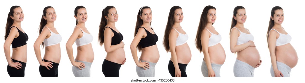 Stomach Growth Chart During Pregnancy