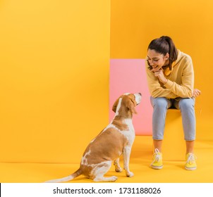 Happy woman with a dog sit. Colorful creative yellow studio background. - Shutterstock ID 1731188026